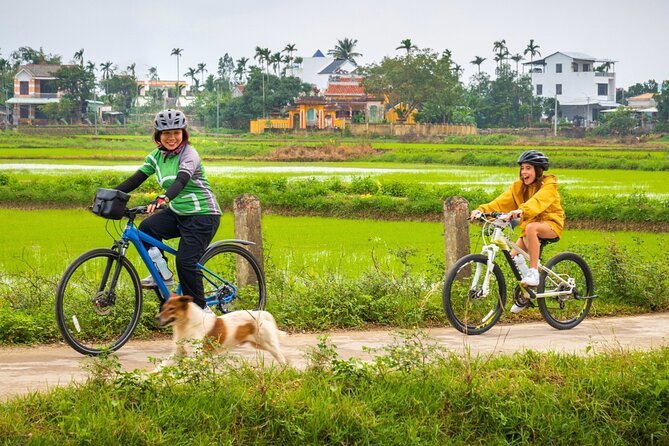 Vietnam Coast Cycling Tour: The Ultimate Guide to Pedaling the Azure Edge